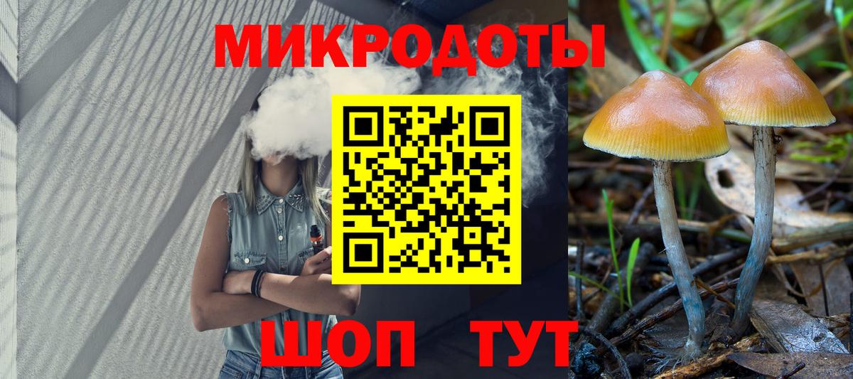 Галлюциногенные грибы Psilocybine cubensis Ржев