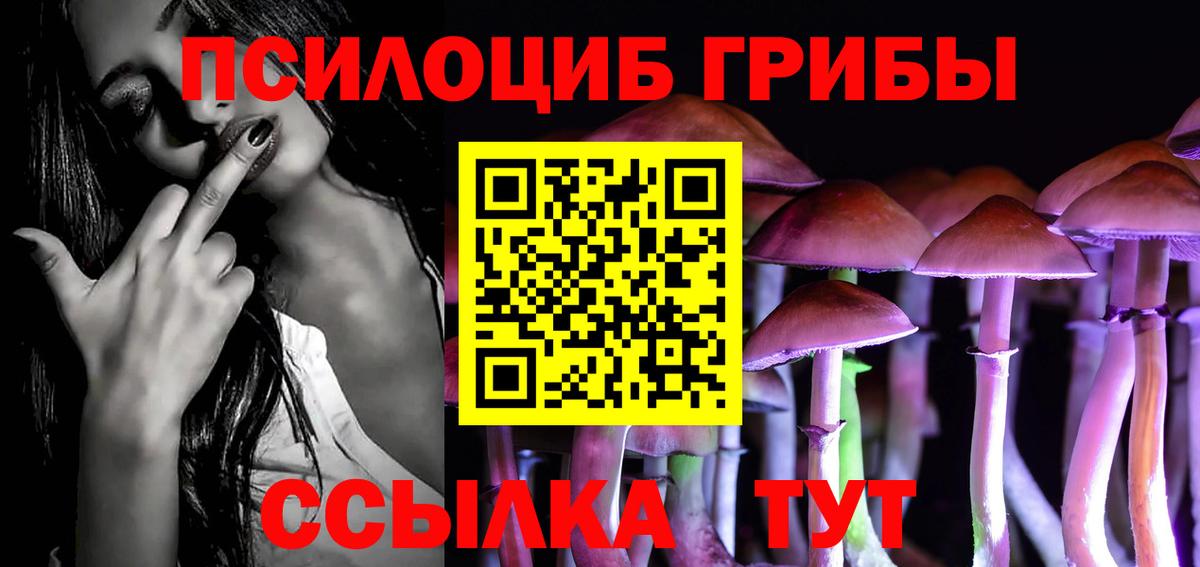 купить наркоту  Галлюциногенные грибы Cubensis  Вход с VPN  Ржев 